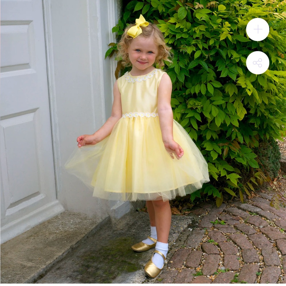 NWT RACHEL RILEY DAISY TULLE DRESS